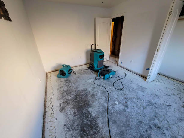 Best Flooded house restoration  in Kimberly, AL