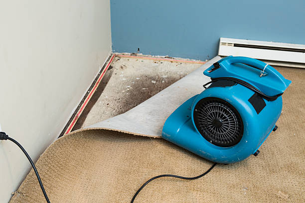 Best Water damage mitigation services  in Kimberly, AL